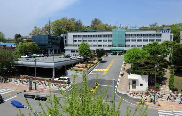 횡성군, 제3회 공근 소(牛)맥축제 ...