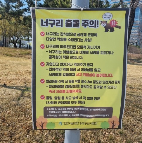 인천경제청, 공원 내 너구리 출몰에 ...