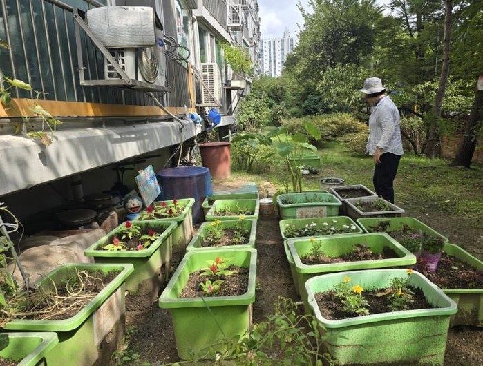 도봉구, 3월 11일부터 상자텃밭 신...