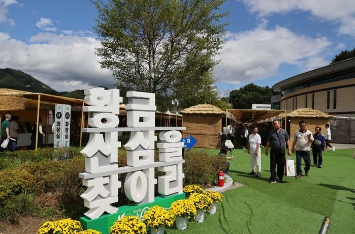 함양산삼축제, 경상남도 지정 문화관광...
