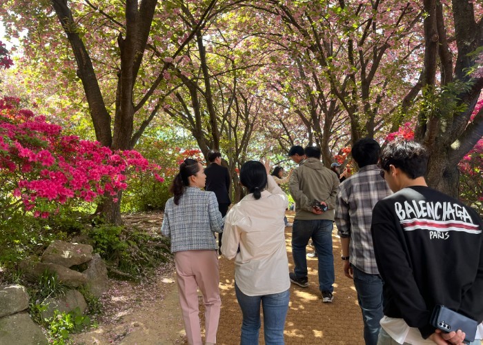 전주시 완산공원 꽃동산, 도심 속 봄...