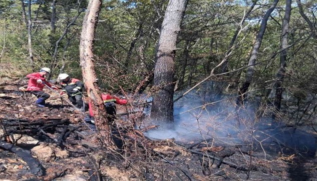 산림당국, 전북자치도 부안 산불발생....