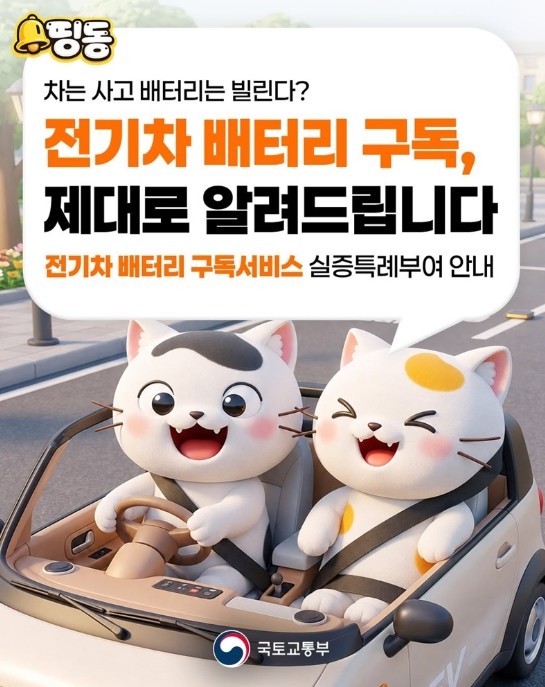 국토교통부, 차는 구매하고, 배터리는...