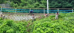 thumbimg